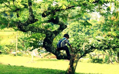 Découvrir la nature pour les enfants