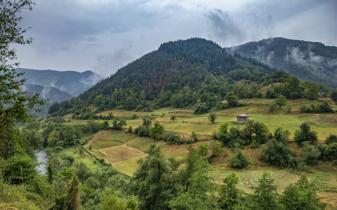 l'air pur de la montagne