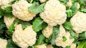 Nourriture bio