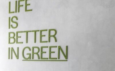 Comment choisir parmi les fournisseurs d&rsquo;énergie verte ?